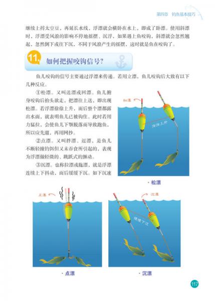 最新钓鱼技术揭秘，高效科学的垂钓之道