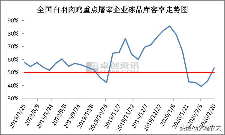 最新毛鸡价格动态解析报告