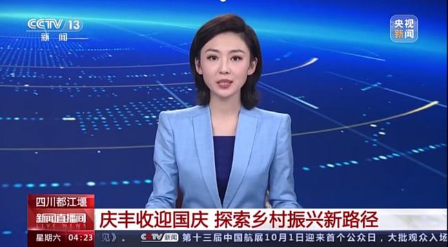 中央新闻直播，时事热点深度解读，新闻魅力一览无余